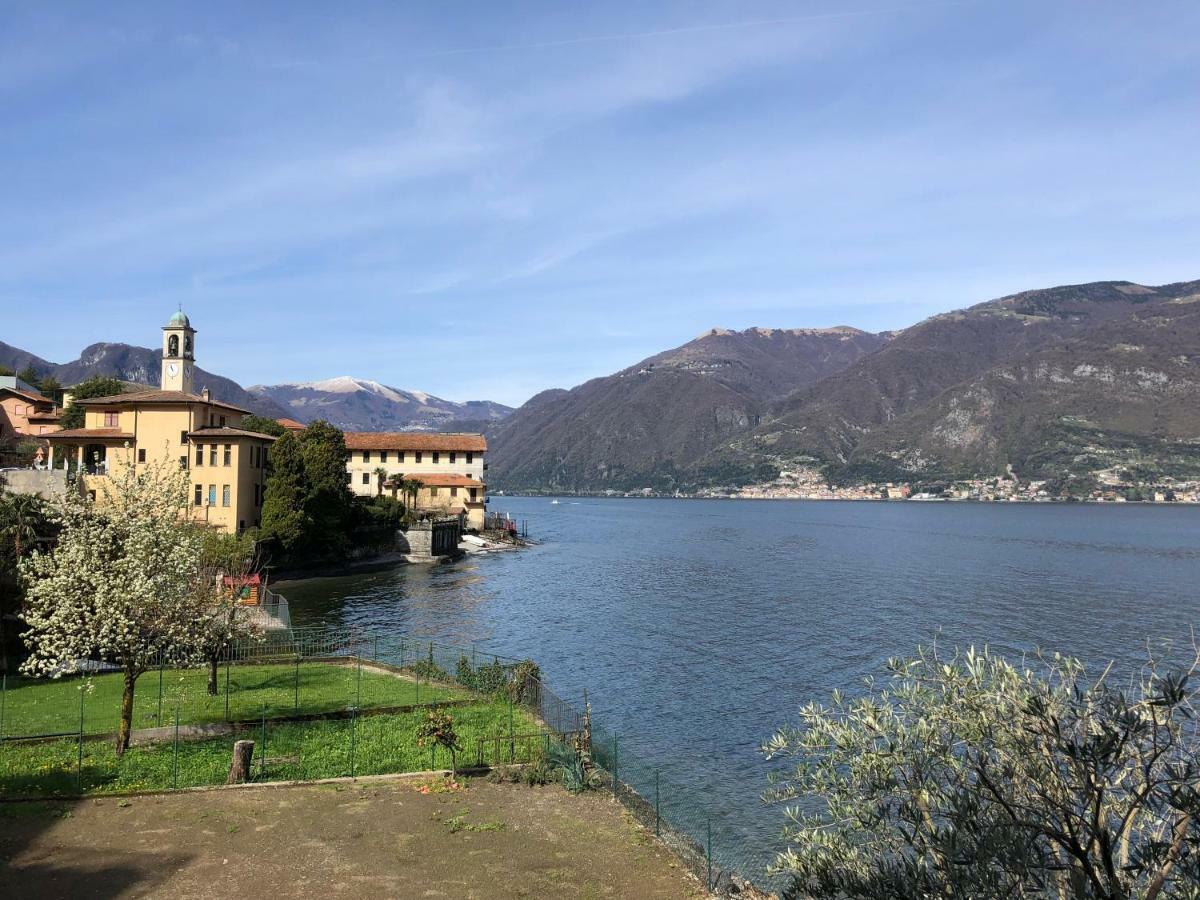 Como Lake View House Lezzeno Zewnętrze zdjęcie