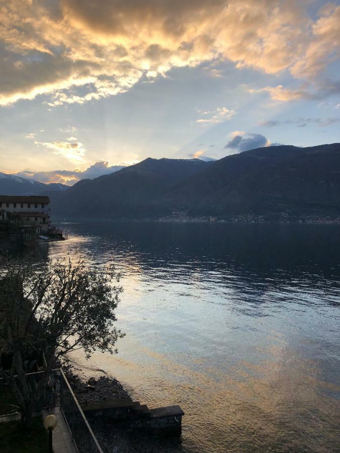 Como Lake View House Lezzeno Zewnętrze zdjęcie